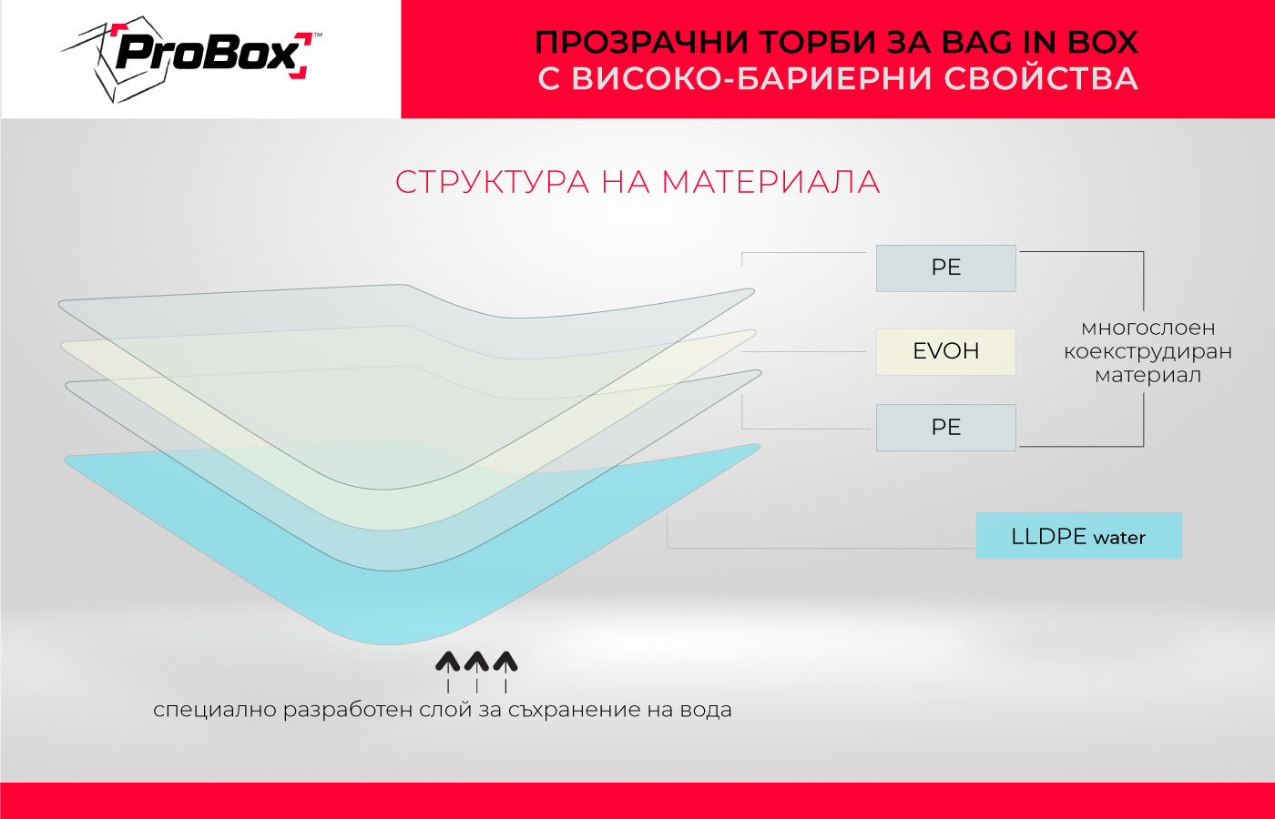 структура 6